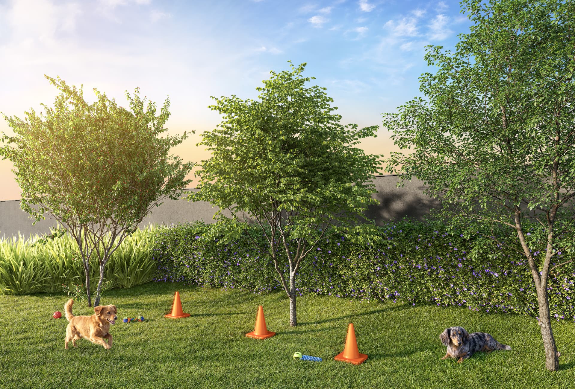 Perspectiva ilustrada do pet place com gramado, cones de agility e cachorros.