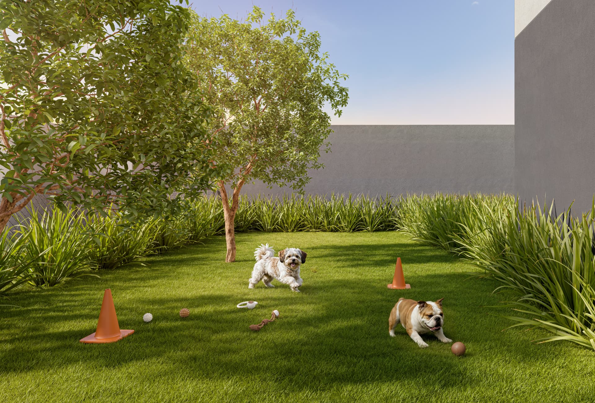 Perspectiva ilustrada do pet place gramado com árvores, cones de agility e brinquedos.